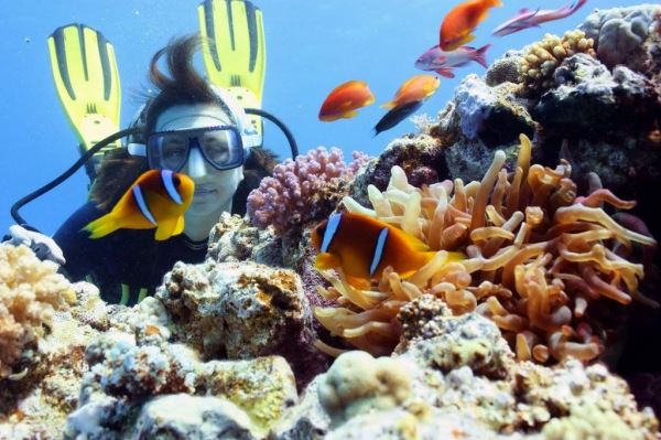 Из-за изменения климата туристы в Египте потеряют 94% коралловых рифов